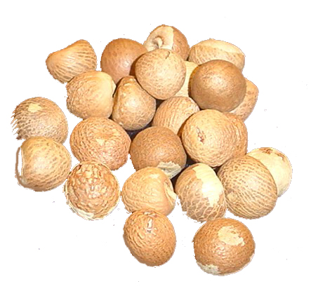 Supari